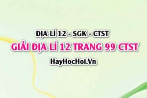 Giải Địa lí 12 trang 99 Chân trời sáng tạo SGK